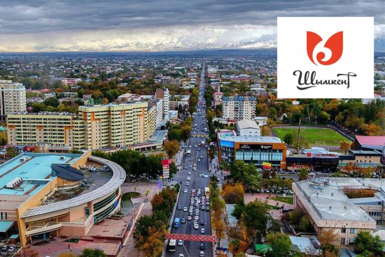 ШЫМКЕНТ ҚАЛАСЫНЫҢ ҚОҒАМДЫҚ ӘЛЕУМЕТТІК ЖАҒДАЙЫ: 2024 ЖЫЛҒЫ НӘТИЖЕЛЕР