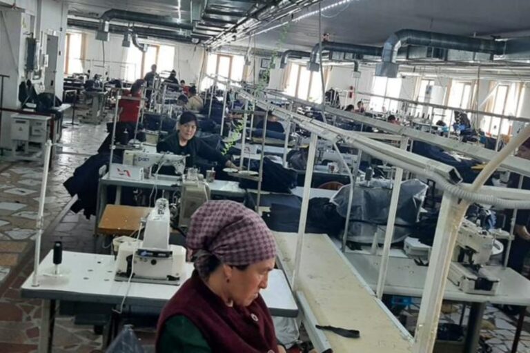 РАЗВИТИЕ ЖЕНСКОГО ПРЕДПРИНИМАТЕЛЬСТВА СПОСОБСТВУЕТ РОСТУ ДОХОДОВ СЕМЕЙ В ШЫМКЕНТЕ