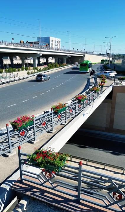 ГҮЛГЕ ОРАНҒАН ҚАЛА: ТІК КӨГАЛДАНДЫРУ ШЫМКЕНТТЕ ЖАҢА ДЕҢГЕЙГЕ ШЫҚТЫ